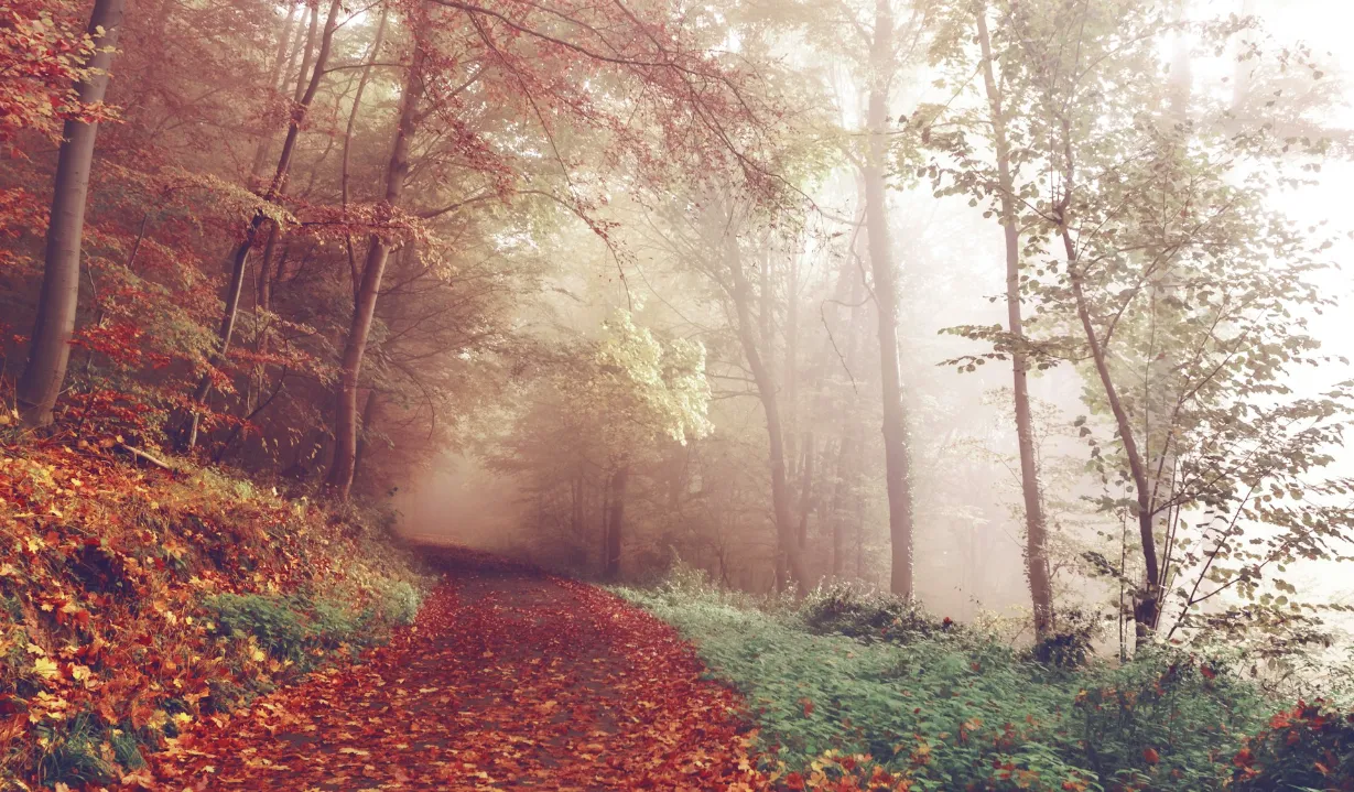 IFS-Germany_Landscapes-and-Mindscapes (20)